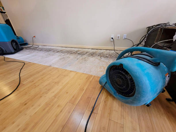 Professional Burst Pipe Water Damage technician working in Irwin, PA